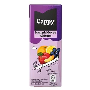 CAPPY KARIŞIK MEYVE NEKTARI 200ML