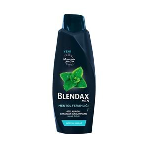 BLENDAX MEN MENTOL FER. NANE ÖZLÜ ŞAMPUAN 500ML