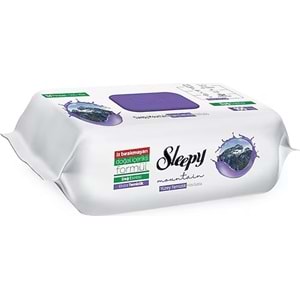 SLEEPY YÜZEY TEMİZLİK HAVLUSU DAĞ ESİNTİSİ 100 ADET