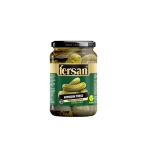 FERSAN KORNİŞON TURŞU 670G