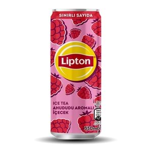 LİPTON ICE TEA AHUDUDU AROMALI İÇECEK 330ML