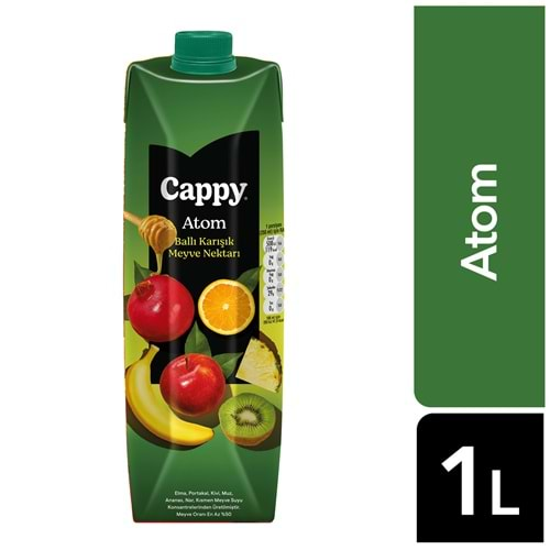 CAPPY ATOM BALLI,KARIŞIK MEYVE NEKTARI 1LT