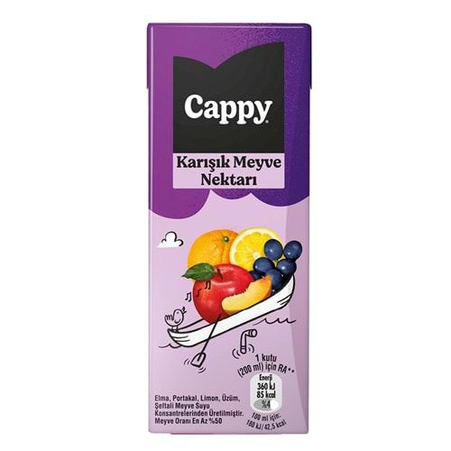 CAPPY KARIŞIK MEYVE NEKTARI 200ML
