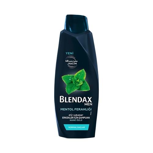 BLENDAX MEN MENTOL FER. NANE ÖZLÜ ŞAMPUAN 500ML