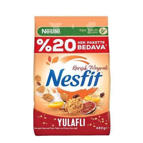 NESLE NESFİT KARIŞIK MEYVELİ YULAFLI 480G