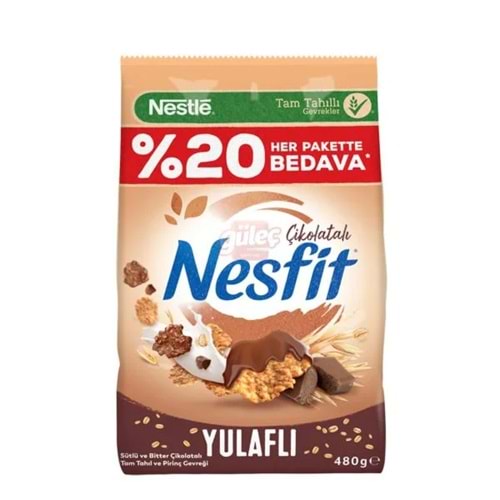 NESLE NESFİT ÇİKOLATALI 480G