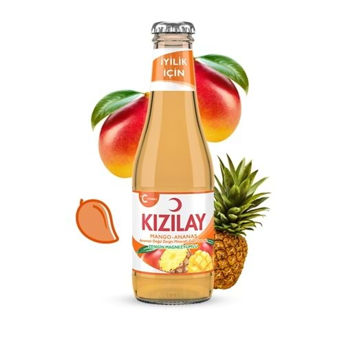 KIZILAY MANGO ANANAS MADEN SUYU 200ml