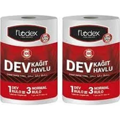 FLODEX DEV KAĞIT HAVLU 2Lİ 290+290=580 YAPRAK