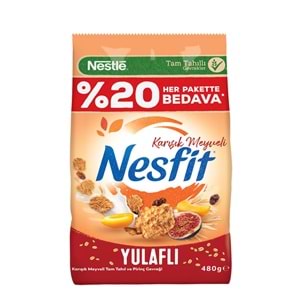 NESLE NESFİT KARIŞIK MEYVELİ YULAFLI 480G