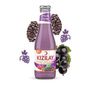 KIZILAY KARADUT-FRENK ÜZÜMÜ MADEN SUYU 200ML