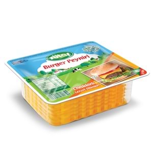 SÜTAŞ BURGER PEYNİRİ 225G